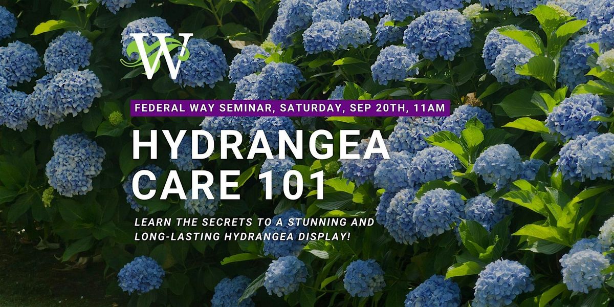 Hydrangea Care 101 Seminar - Federal Way Watson's
