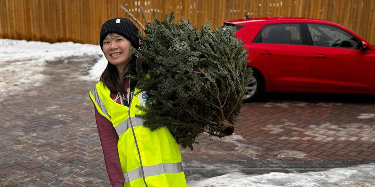 Sue Ryder Christmas Treecycling Leeds