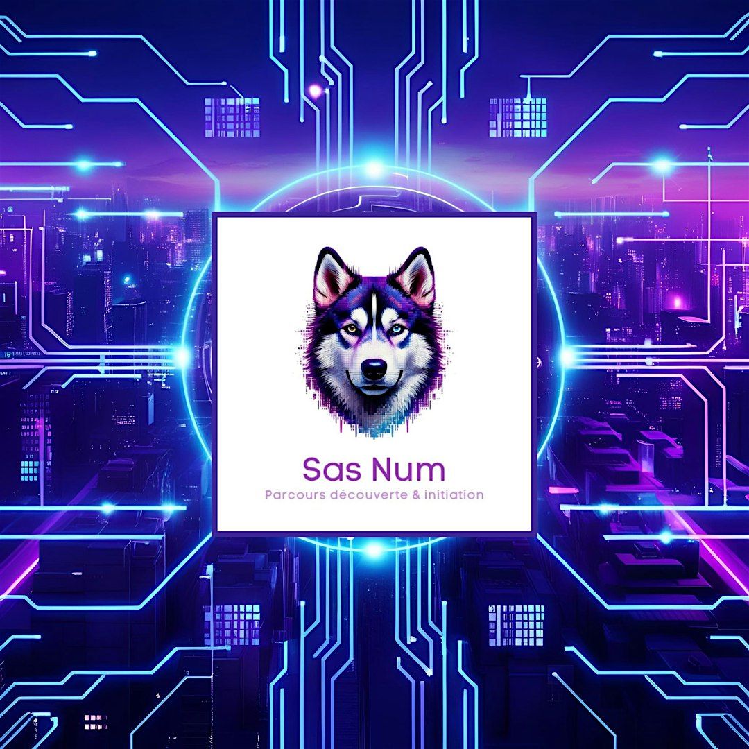SAS.NUM