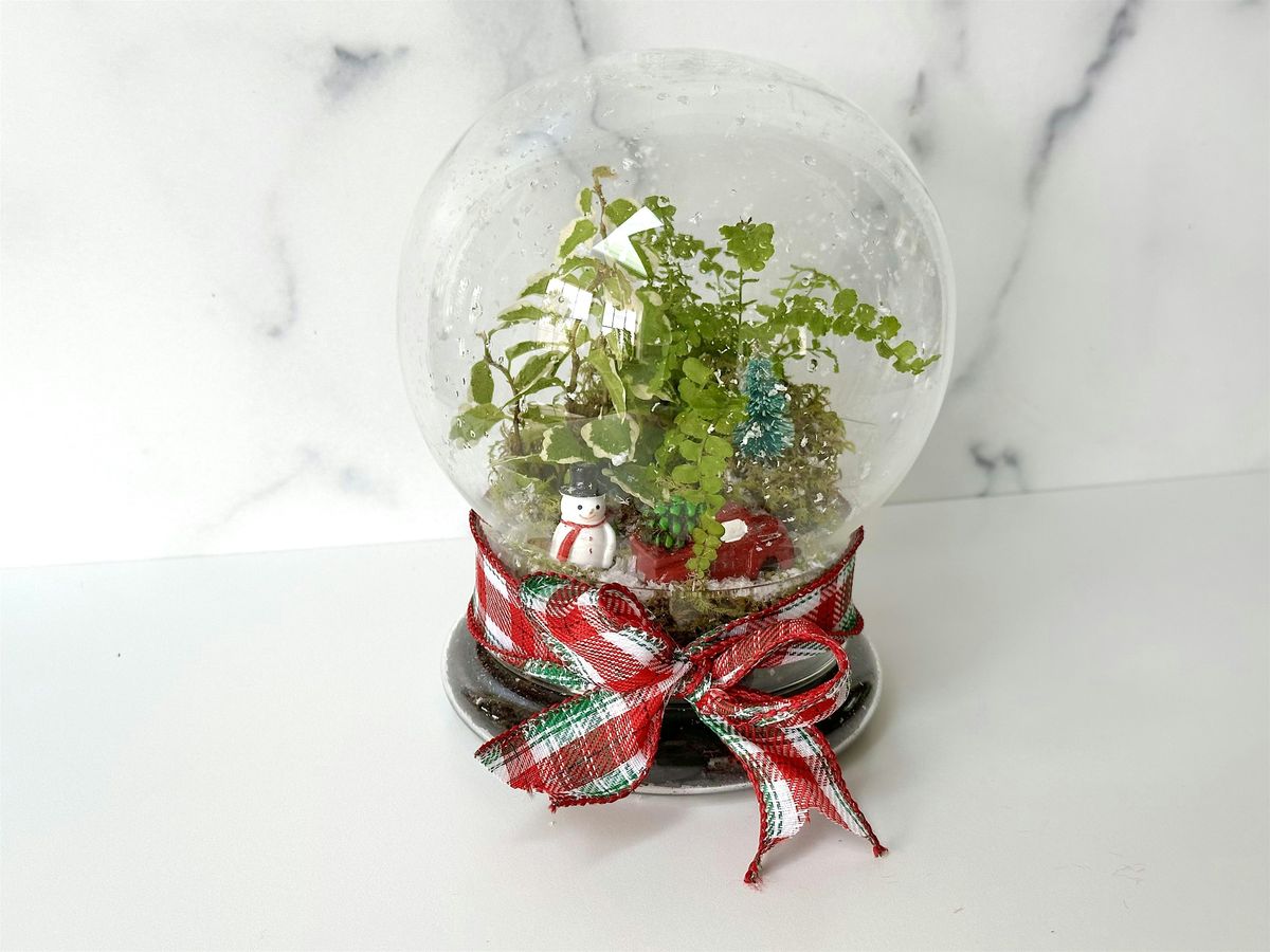 Make + Take:  Snow Globe Terrarium