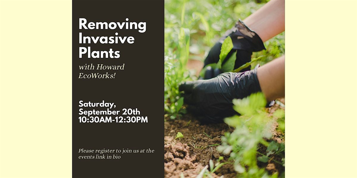 Invasive Removal with Howard Ecoworks!