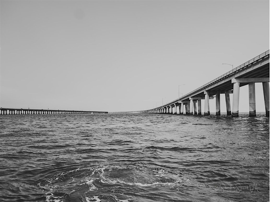 Tribute to the Bay \u2014A Photography Exhibit by ShutterSpeed