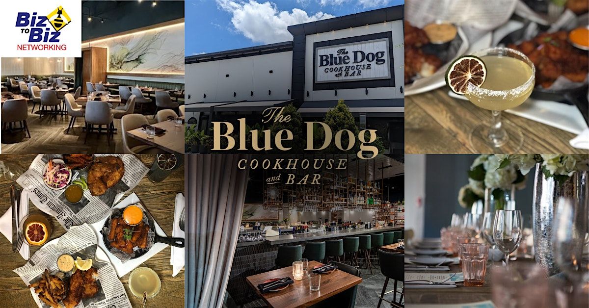 Biz To Biz Networking at The Blue  Dog Cookhouse and Bar Boca Raton
