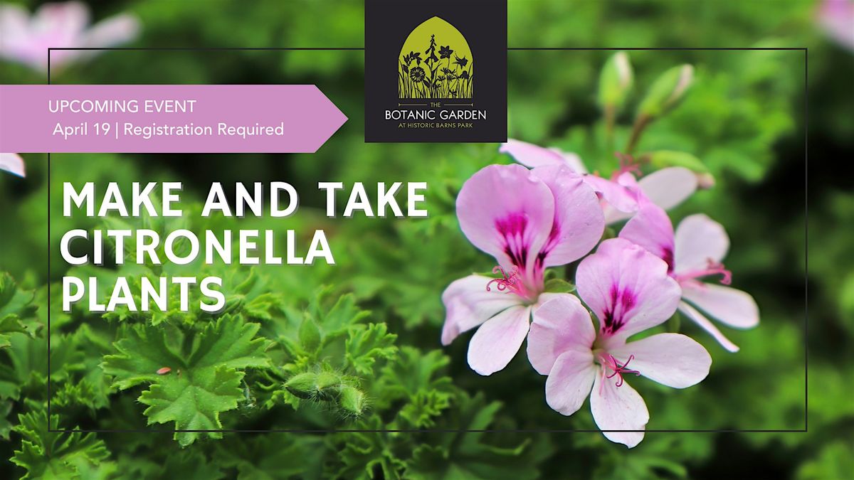 FREE Family Fun Day: Make and Take Citronella Plants (ages 5+)