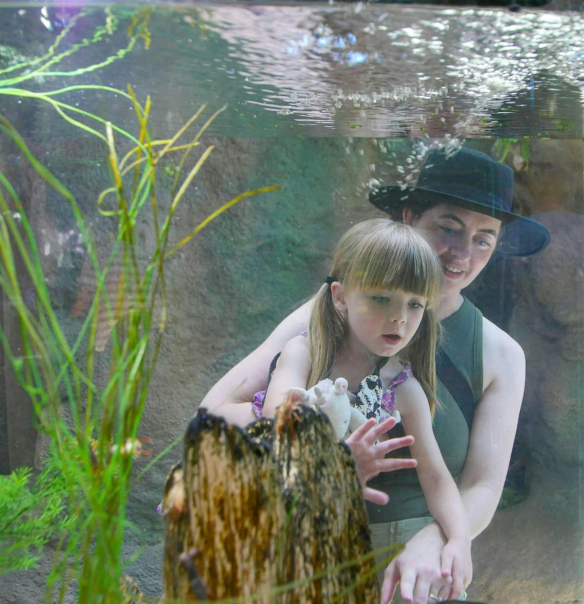 Family Camp: Joyeux Noel (Dec 19 AM)