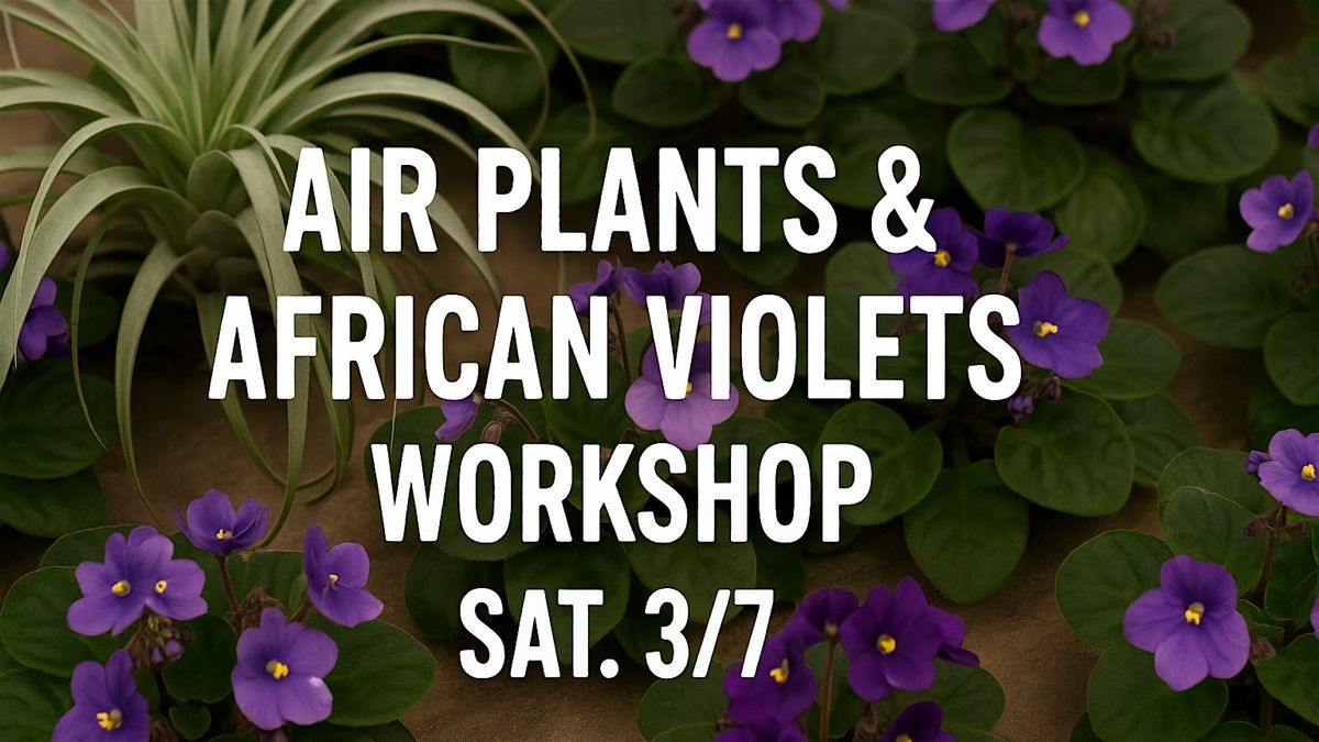 Air Plants & African Violets  Workshop @ Smucker Gardens