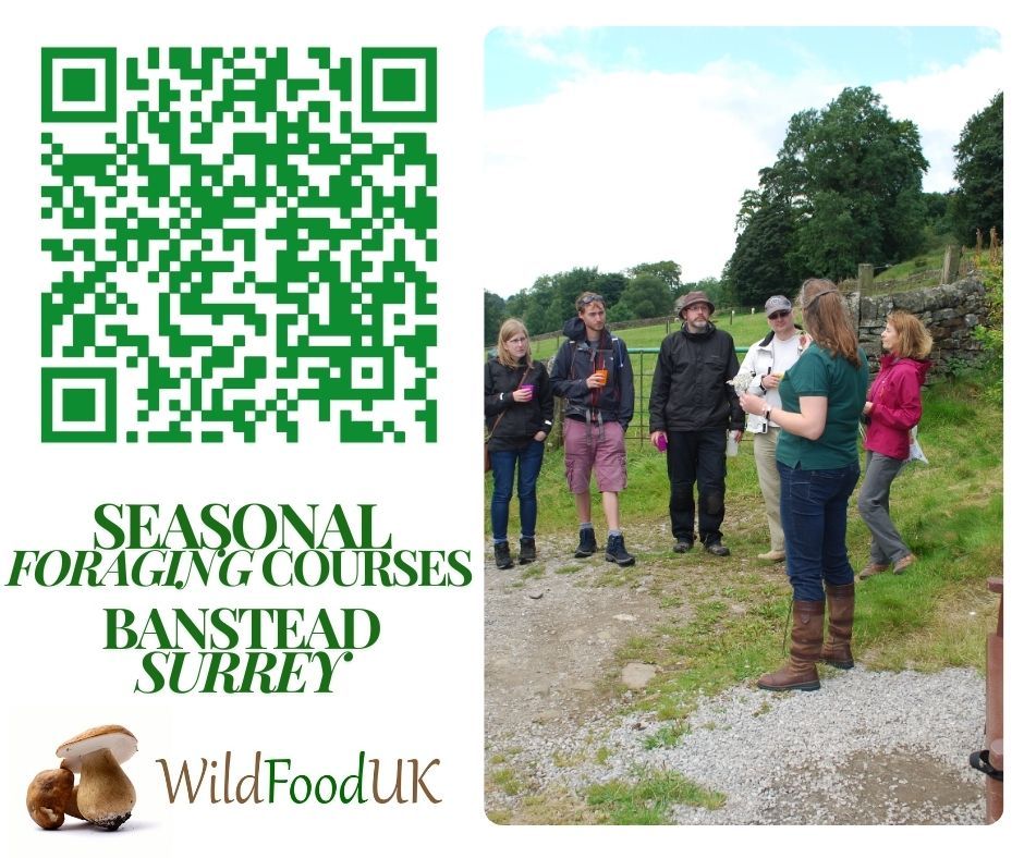 Surrey, Banstead Spring Foraging Courses