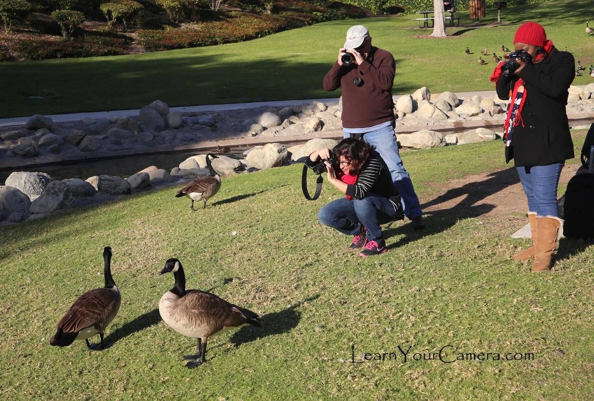 Redlands Intermediate Digital Camera Class