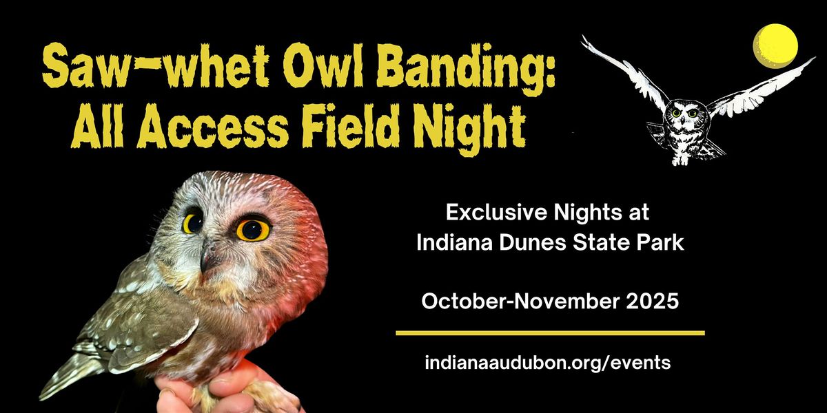 Saw-whet Owl Banding: All Access Field Night
