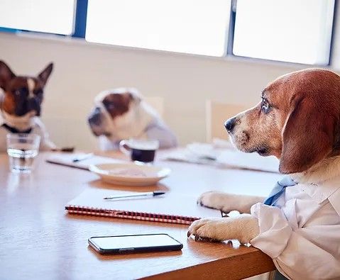 Greeley Kennel Club Monthly Meeting