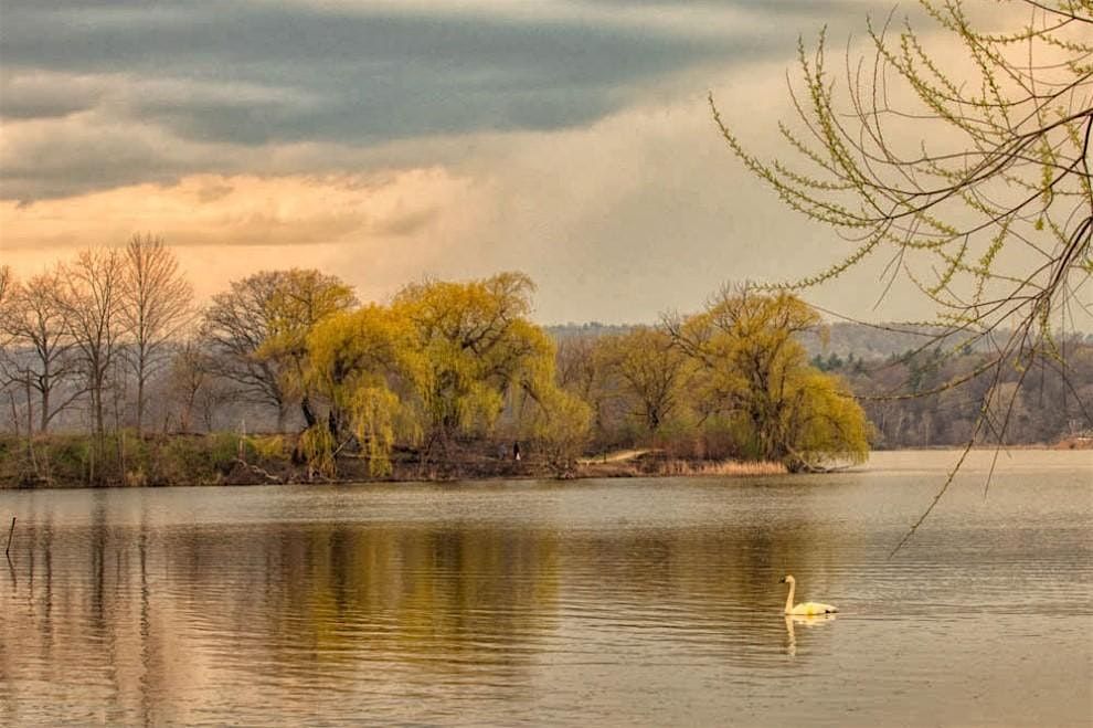 Henry's Limeridge: Birding Photo walk at Princess Point