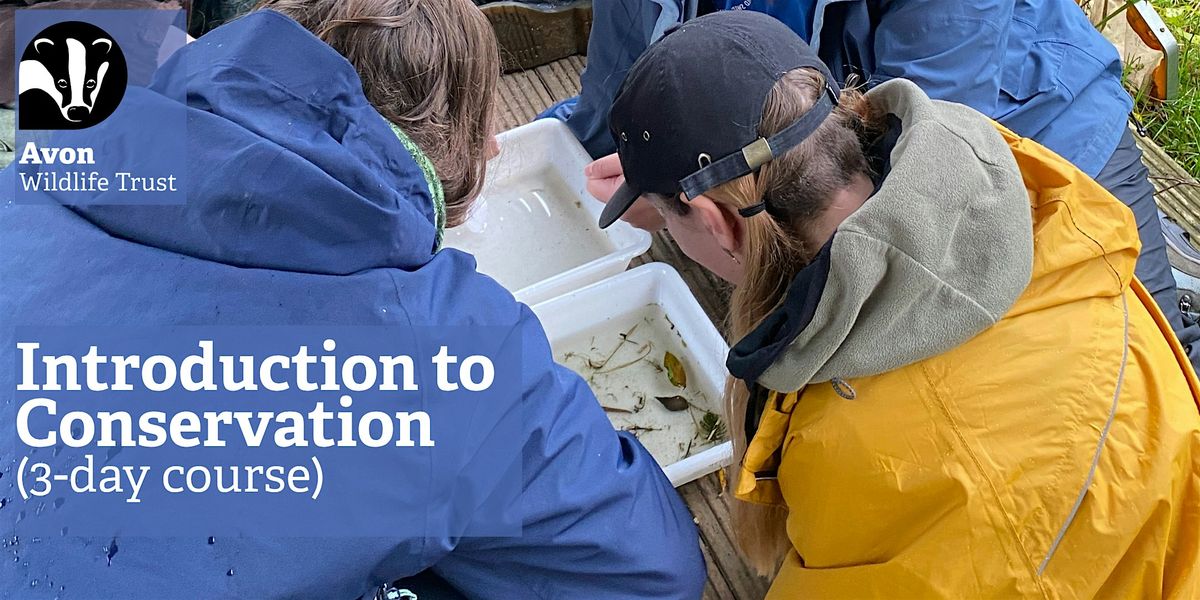 Youth Event: Introduction to Conservation (3-day course)