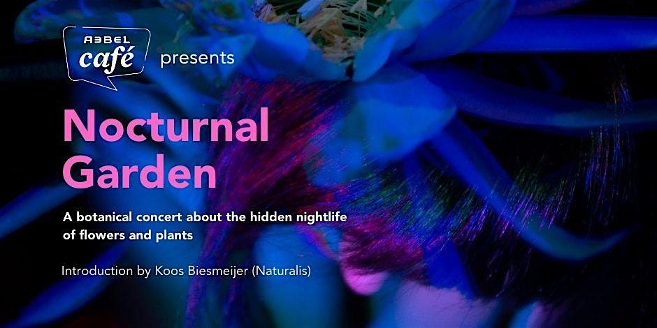 Rebel Caf\u00e9: Nocturnal Garden