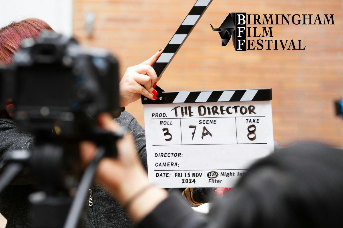 Birmingham Film Festival - Working as a Director