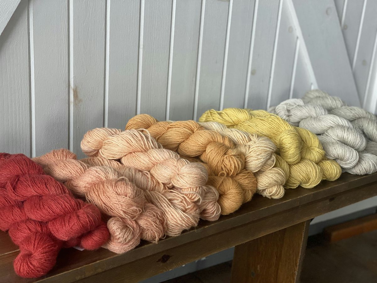 Natural Dye Class