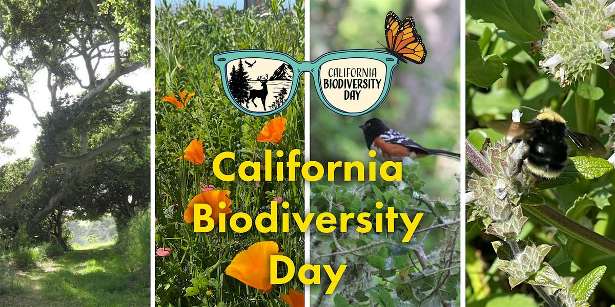 Celebrate California Biodiversity Week at the Elkhorn Slough Reserve