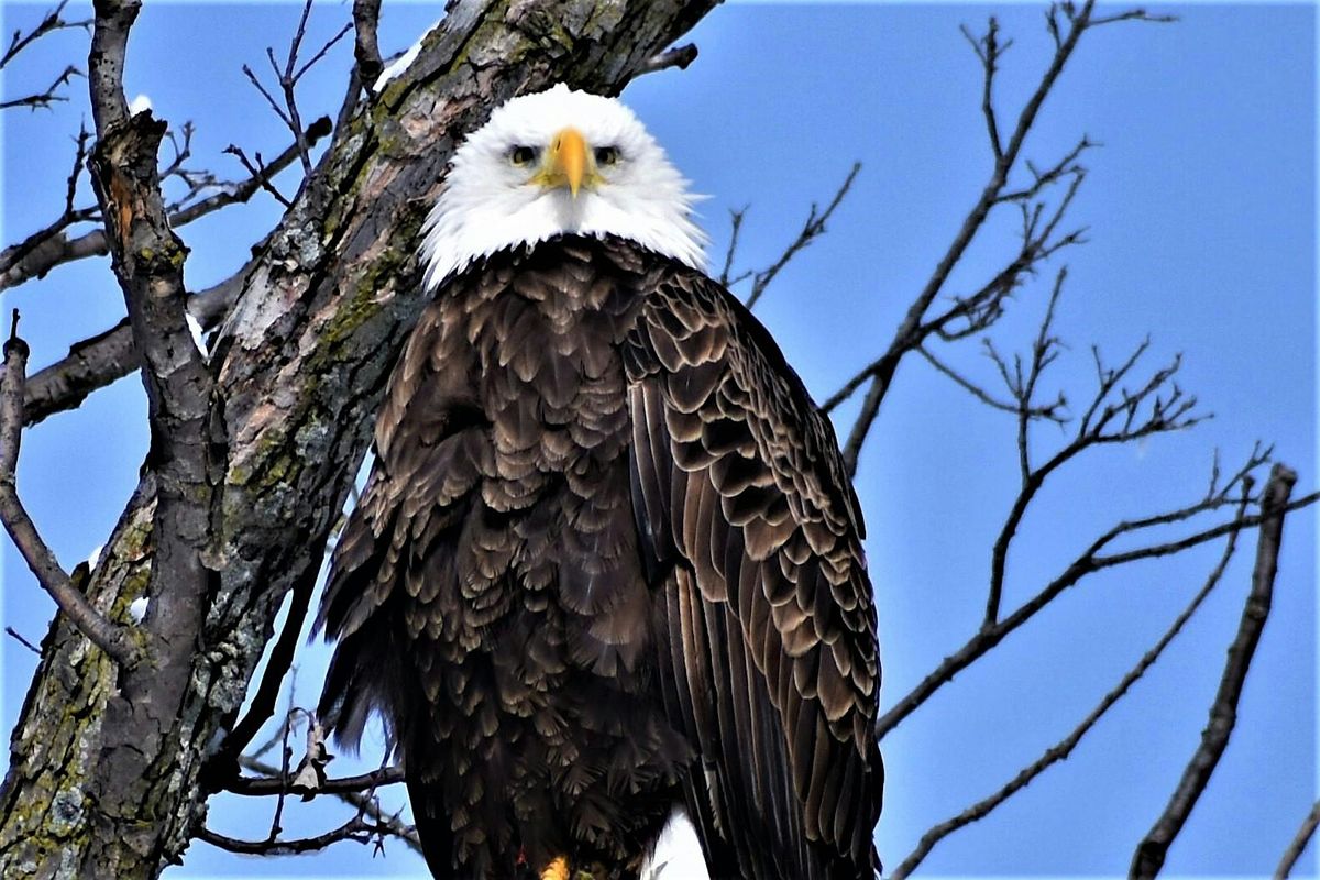 Through Our Eyes: A Photography Exhibition by the Elders of Hannan Center
