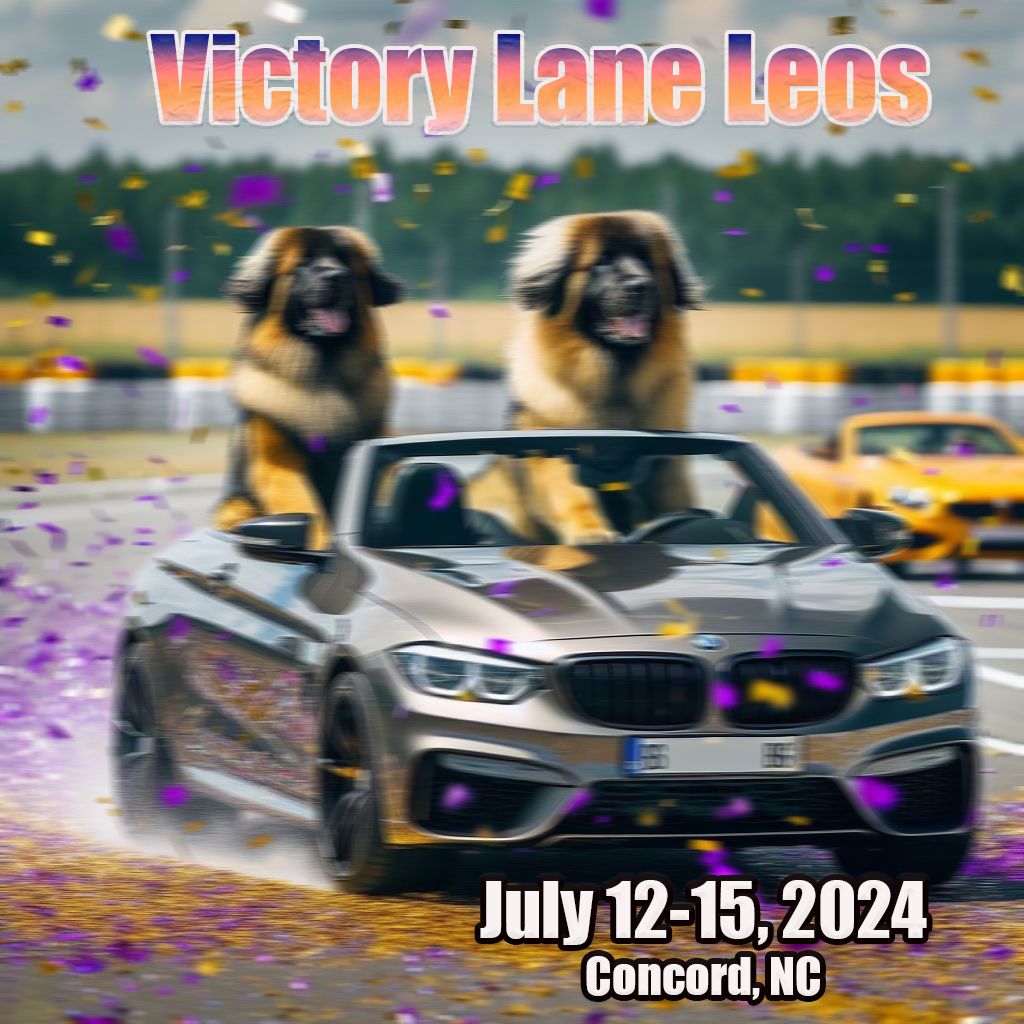 Victory Lane Leos 2024