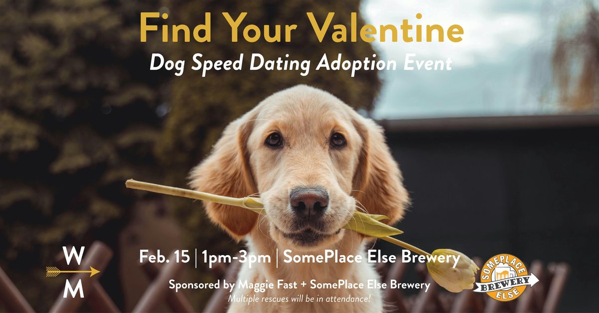 Speed Dating Dog Adoption Event