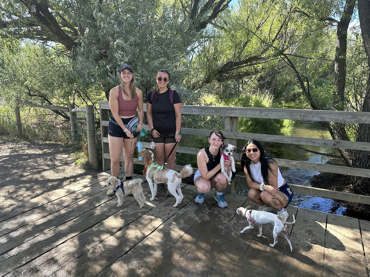 DDMC Anniversary Hike