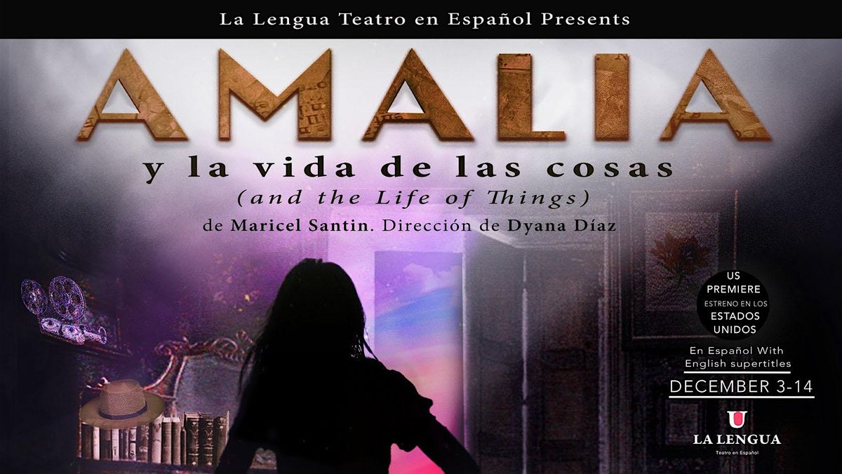 Amalia y la vida de las cosas [and The Life of Things] by Maricel Santin