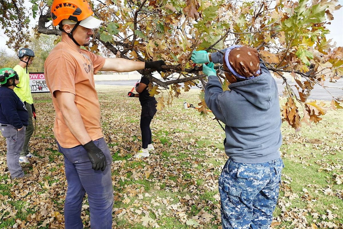 Training on Proper Tree Pruning Techniques