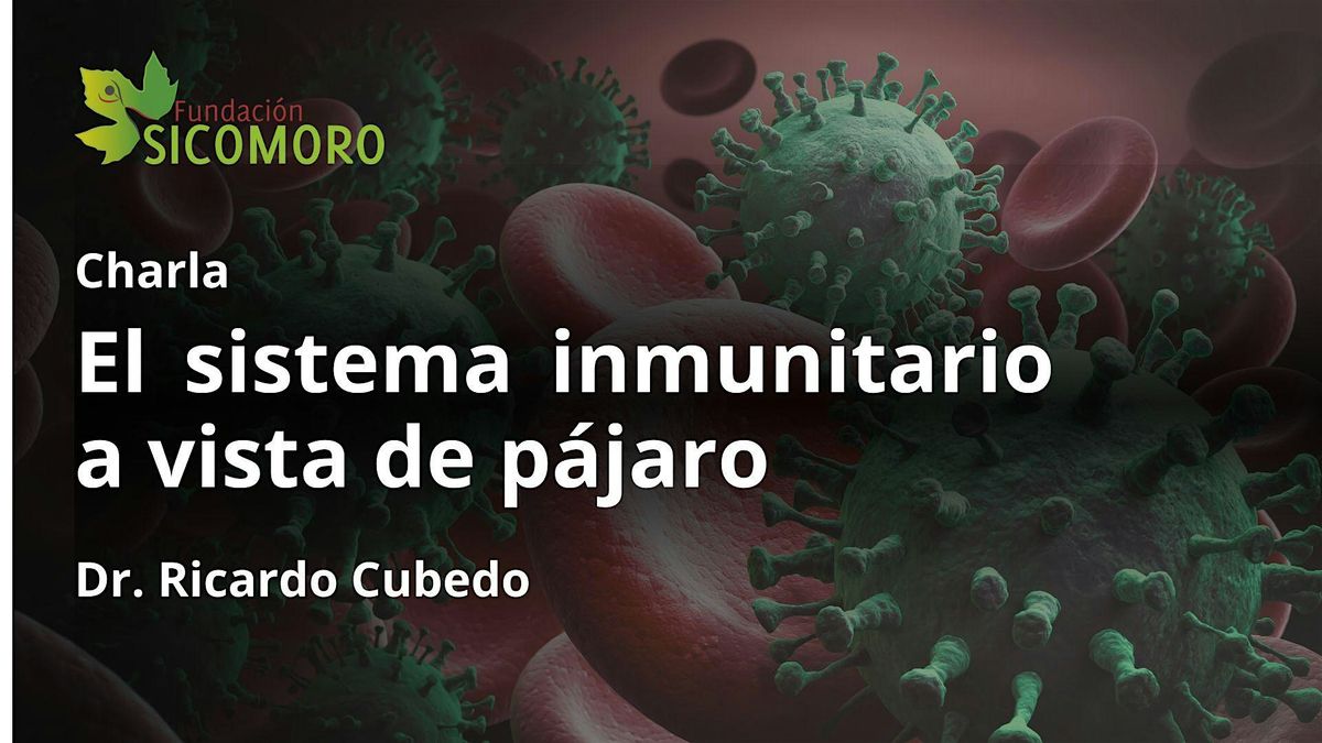 Charla. El sistema inmunitario a vista de p\u00e1jaro