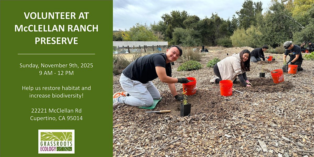 Nurture Nature: Volunteer Outside at McClellan Ranch Preserve