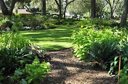 02-22-2025: Take Back Your Lawn: Natural Insect Control for Florida Homes