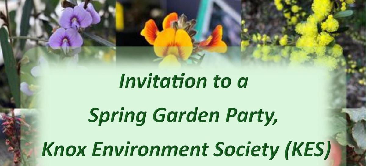 Spring Garden Party at the KES Nursery