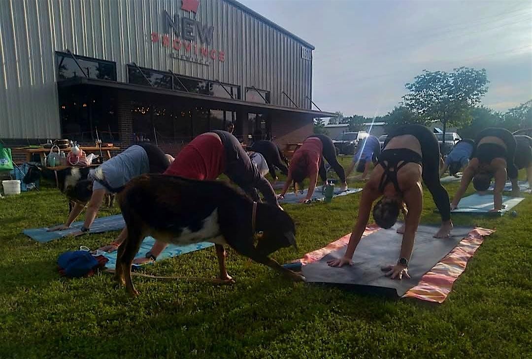 Greedy Goat Yoga @ New Province Brewing Company!