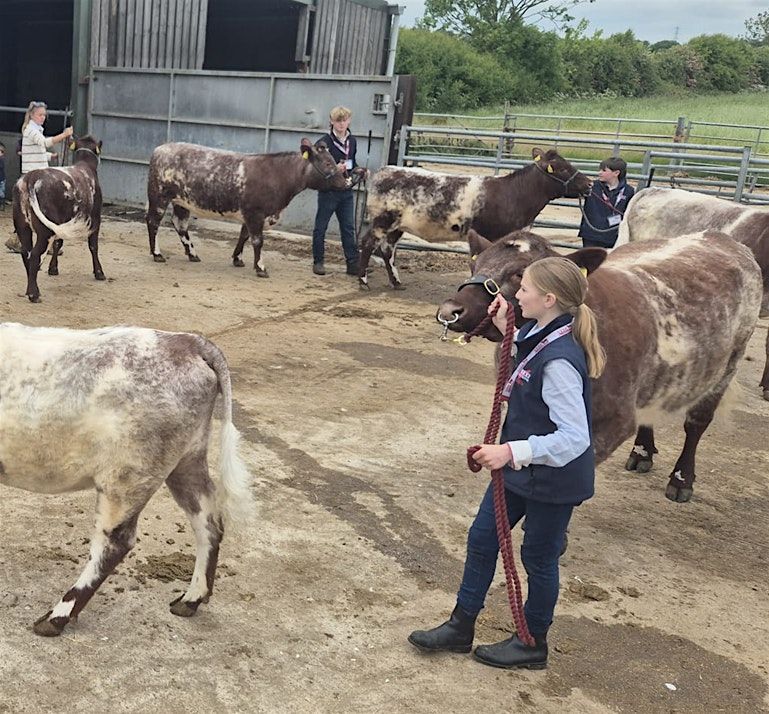 Future Stockmasters Challenge