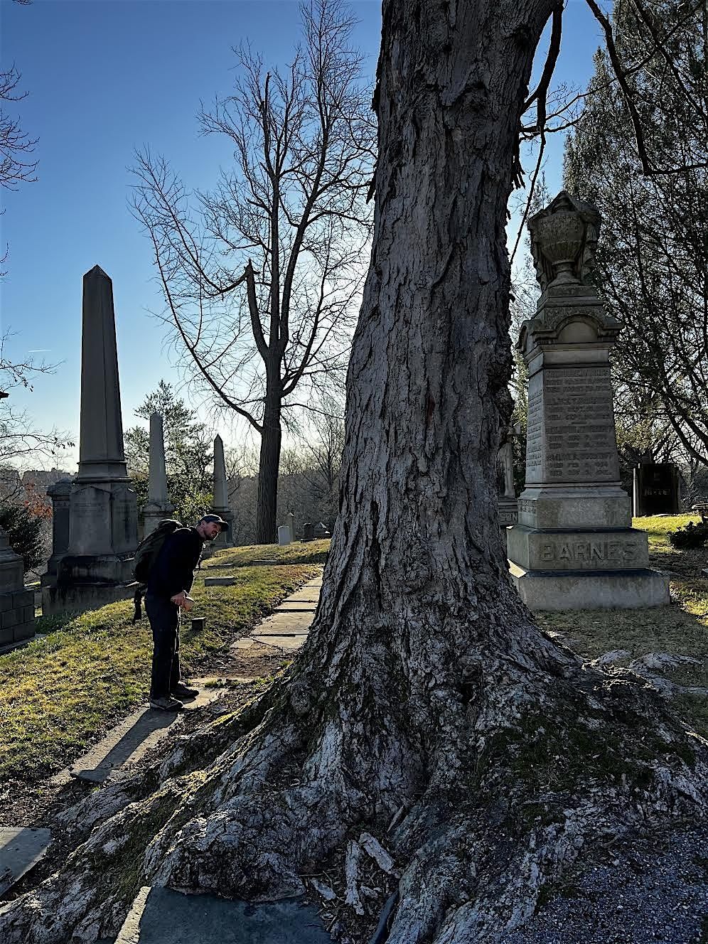 Significant Tree Walk with Historical Ecologist Michael Gaige