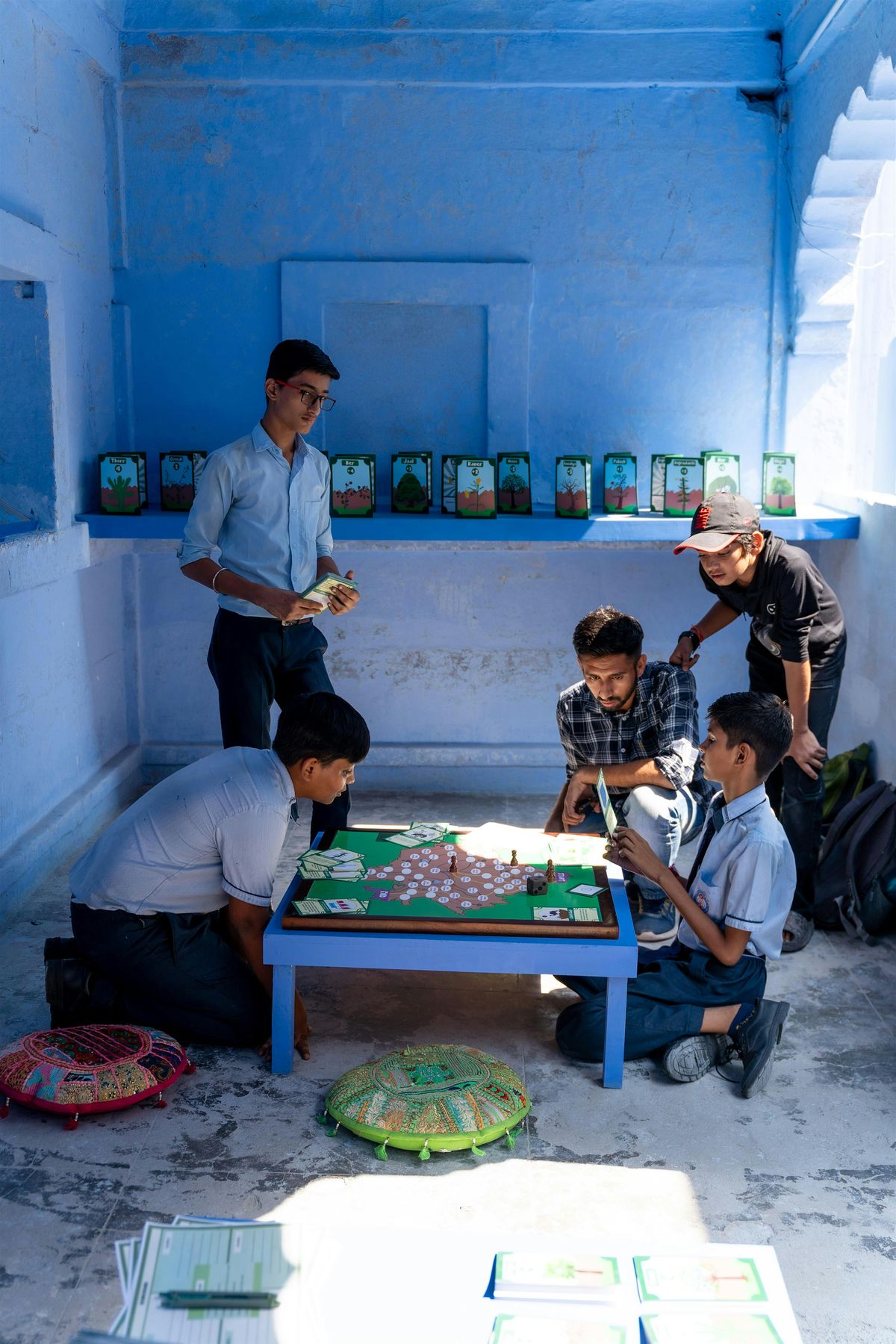 Drop in Activity - Biomimicry Board Games