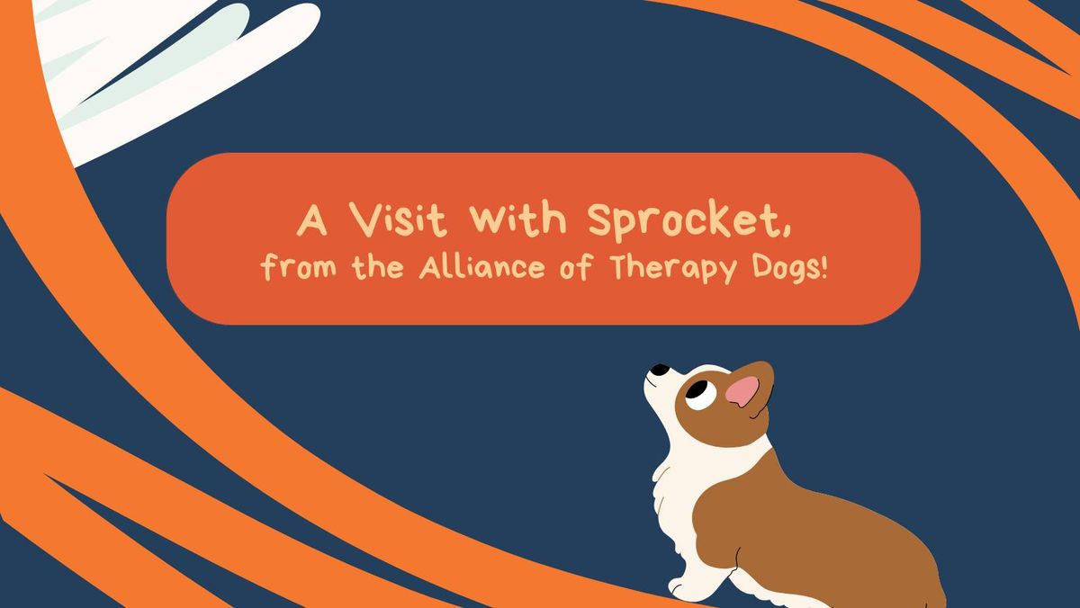 Visit with Sprocket, a Certified Therapy Dog!