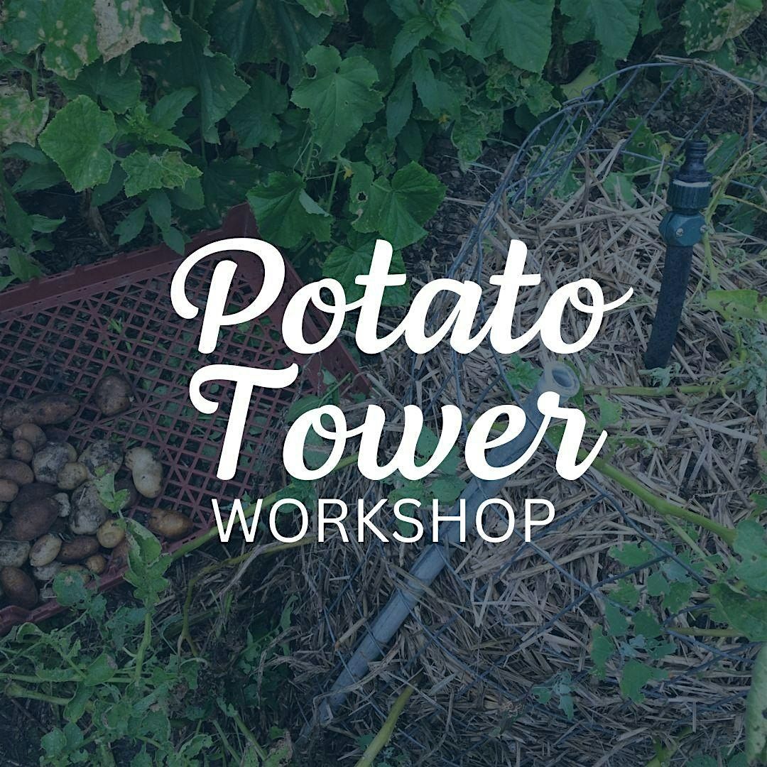 Potato Tower Workshop