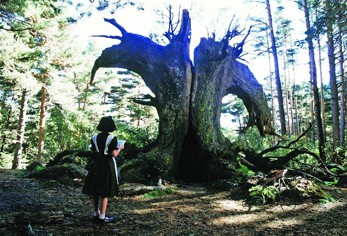 Elena Manrique with  "Pan's labyrinth" in Washington, DC