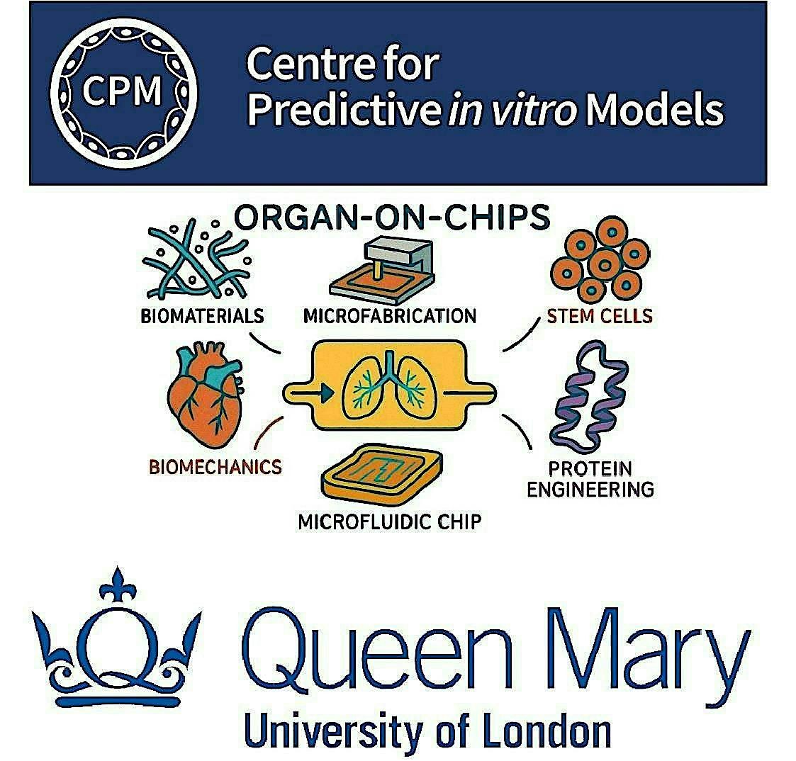 Centre for Predictive in Vitro Models - Seminar Series 2025-2026