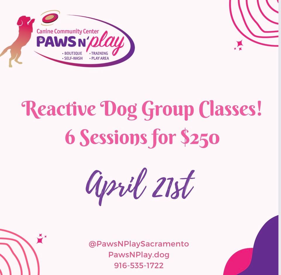 Reactive dog group classes