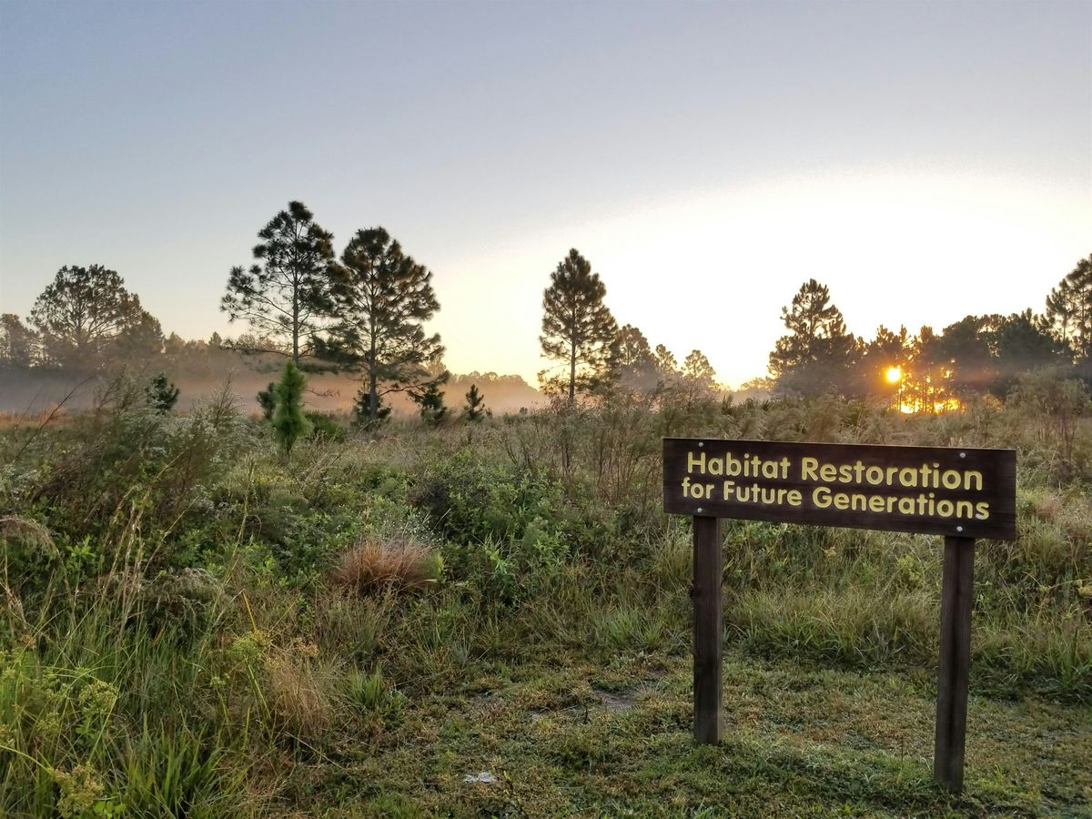 Tween & Teen Homeschooler Hike