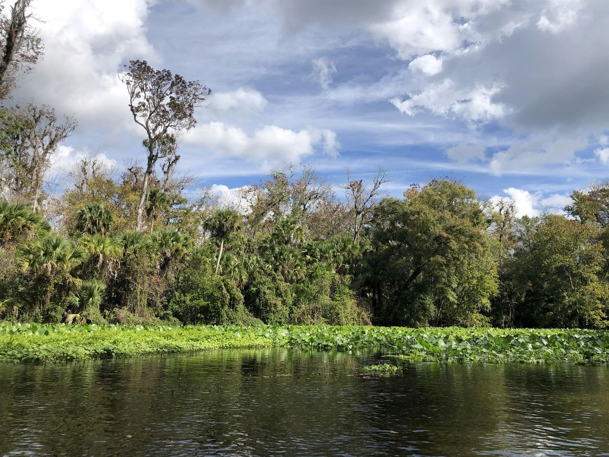 January Eco Paddle - Wekiva River