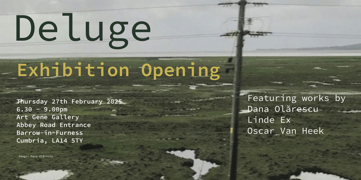 Deluge Exhibition Opening