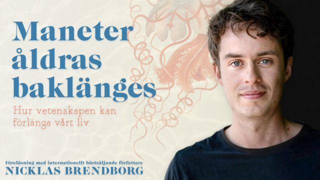 Maneter \u00e5ldras bakl\u00e4nges | Nicklas Brendborg | Stockholm