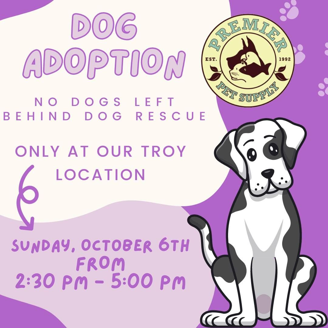 No Dogs Left Behind Adoption Event!