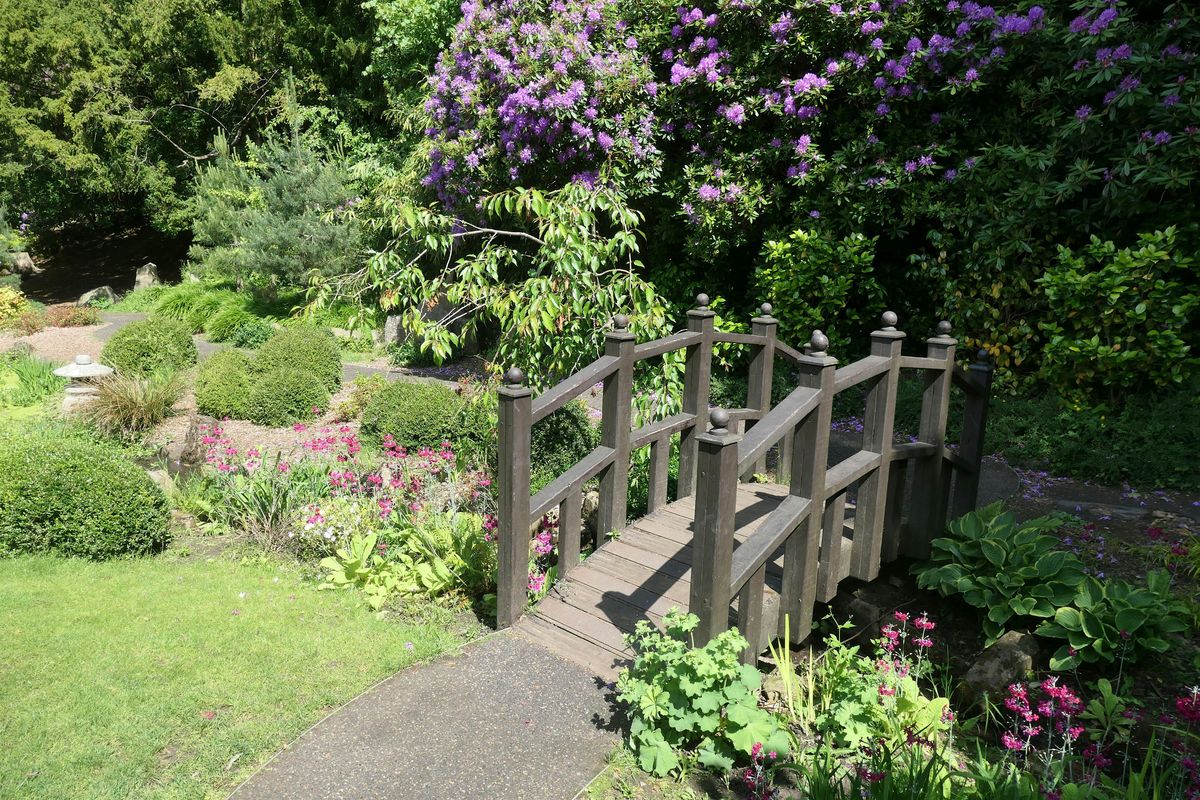 Valley Gardens Guided Walk