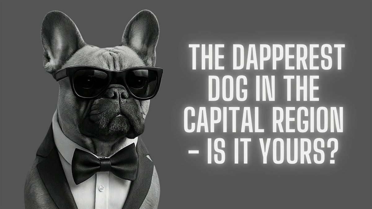 Dapper Dog: Pet Fashion & Talent Event