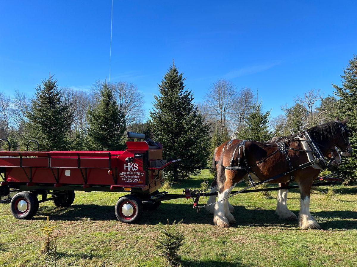 HKS Annual Christmas Tree Farm Ride