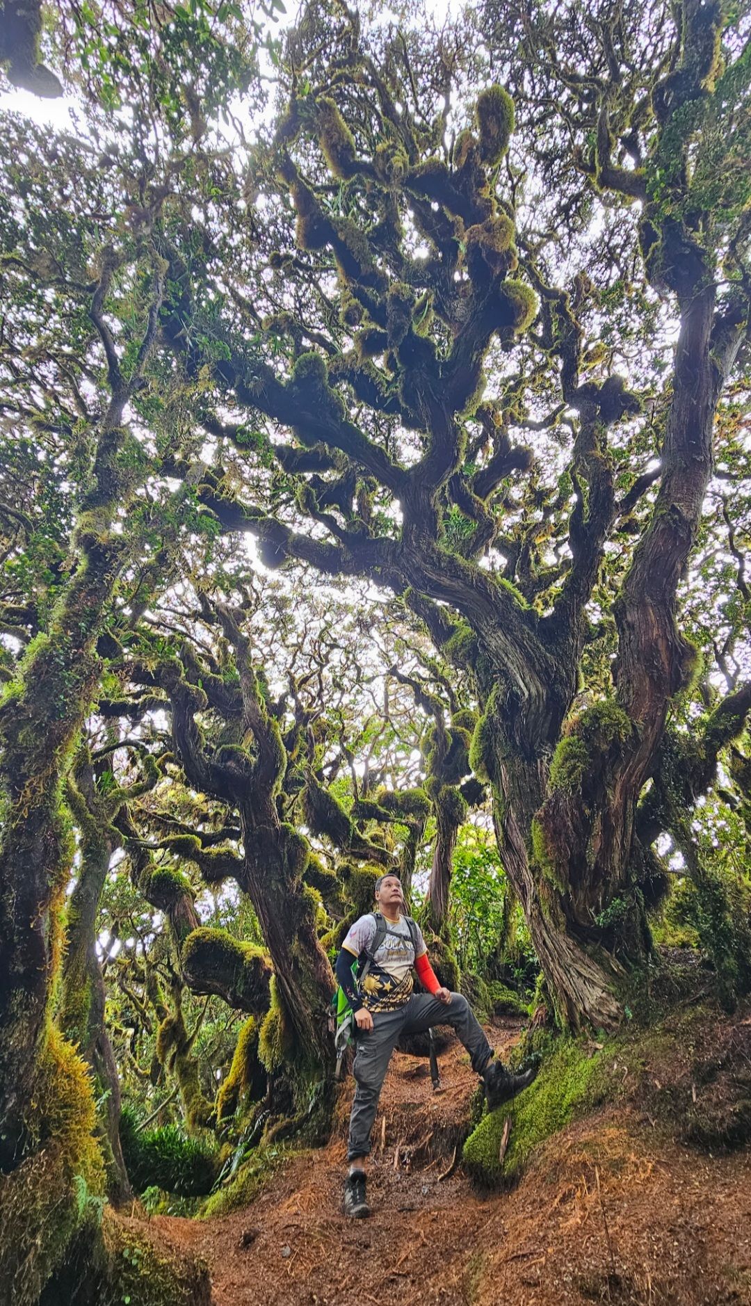 Mt. Kitanglad - Dulang Dulang - Maagnaw Traverse 4D3N MAJOR Hike (Oct 28-31, 2024 )