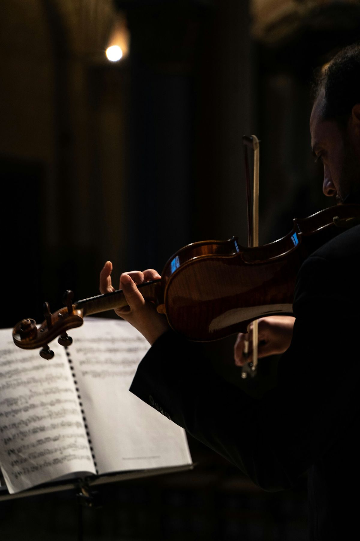 Les 4 Saisons de Vivaldi, Ave Maria, Concerto de Mendelssohn