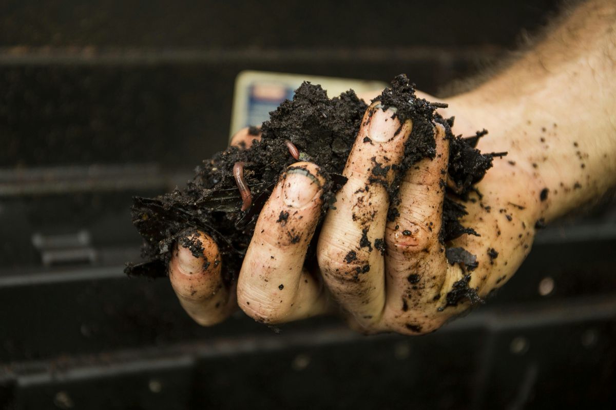 01-20-2025 Vermicomposting